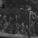 IR 20091027