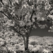 20110922_10edited-copy