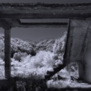 20110922_2a-copy