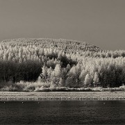 20110923_21b-copy