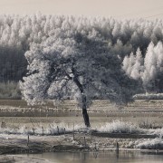 20110923_22-copy