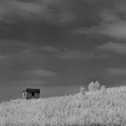 20111010_2b