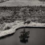 20111013_6