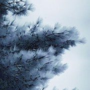 room20110920_10