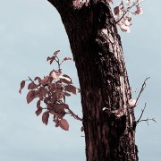 room20110923_13