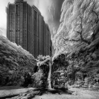 IR ( digital )