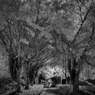 IR 2013-01-18