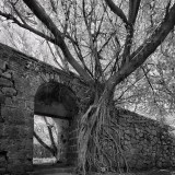 東澳銃城 2011-06-09